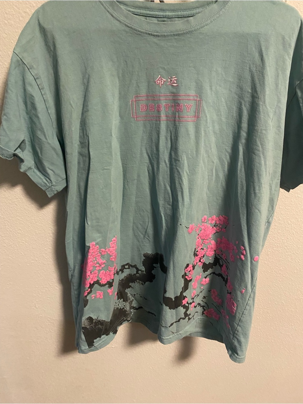 Men Destiny Graphic Tee - Aqua with Pink Floral Accents